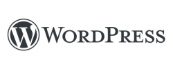 CMS-WordPress-StartFly-1.webp